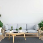 Best Indoor Plants for Your Living Room